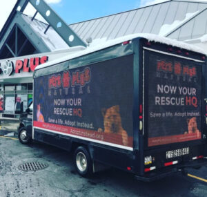 Direct Ad Network LED Billboards  Digital TV Networks Digital TV Networks | LED Billboard Trucks| Direct Ad Outdoor Media has the power to reach more mobile customers More effective than traditional advertising like print and broadcast media  Digital TV Networks 
