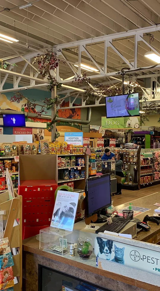 How Local Retailers Can Use Mobile Ads to Attract Customers